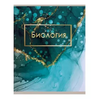 Тетрадь предметная 48 листов в клетку calligrata,