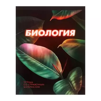 Тетрадь предметная 48 листов в клетку calligrata,