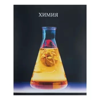 Тетрадь предметная calligrata top