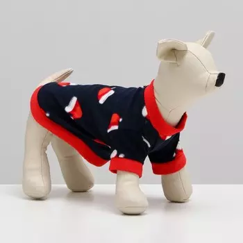 Толстовка для собак