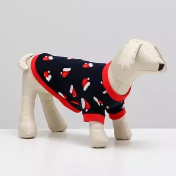 Толстовка для собак