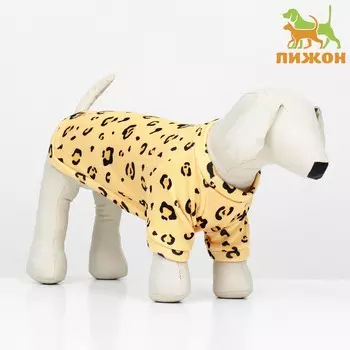 Толстовка