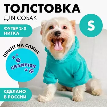 Толстовка champion для собак (футер), размер s (дс 23, ош 32-34, ог 40-44), голубая