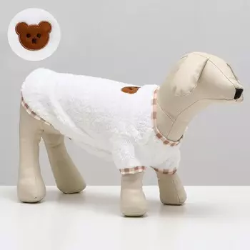 Толстовка для животных