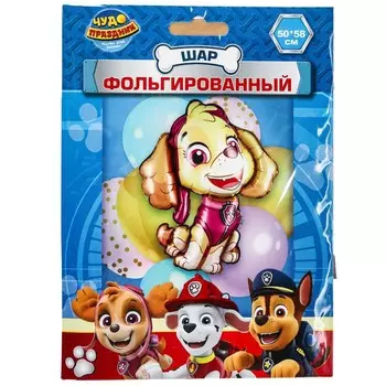 Товары для праздника - воздушные шары ЧУДО ПРАЗДНИК FBF-113344-PP