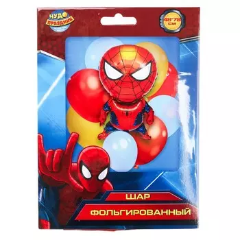 Товары для праздника - воздушные шары ЧУДО ПРАЗДНИК FBF-113339-SM