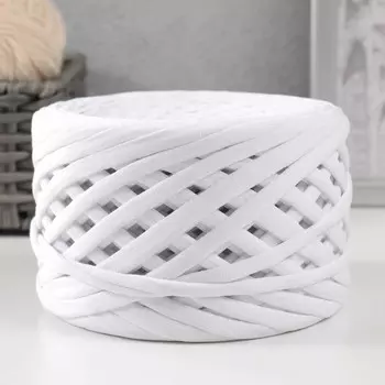 Трикотажная пряжа, ширина 7-9 мм, 100м/295 гр±10% (00 - белый)