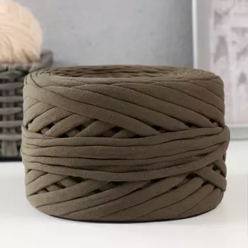 Трикотажная пряжа, ширина 7-9 мм, 100м/300гр 100м/295 гр±10% (44 - светлый хаки)