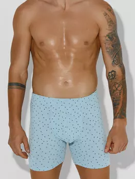 Трусы боксеры мужские голубые с принтом