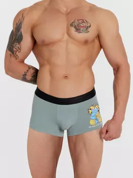 Трусы боксеры мужские с принтом