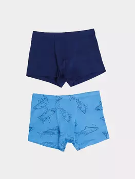 Трусы для мальчиков (2шт.)