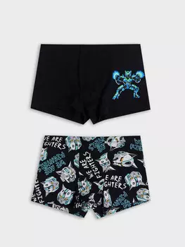 Трусы для мальчиков (2шт.)