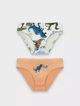 Трусы для мальчиков (2шт.)