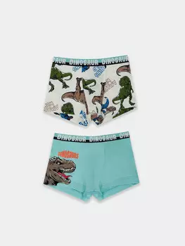 Трусы для мальчиков (2шт.)