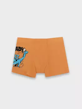 Трусы для мальчиков