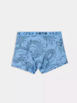 Трусы для мальчиков боксеры голубые с принтом