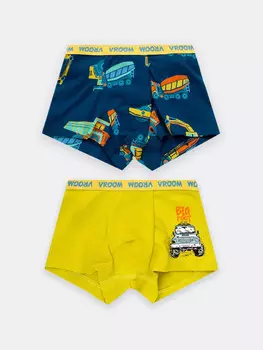 Трусы для мальчиков боксеры мультипак (2 шт.)