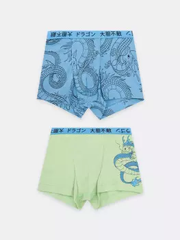Трусы для мальчиков боксеры мультипак (2 шт.)