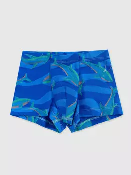 Трусы для мальчиков боксеры синие с принтом