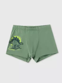 Трусы для мальчиков боксеры зеленые с печатью