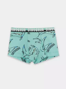 Трусы для мальчиков голубые с принтом