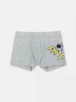 Трусы для мальчиков серые с принтом