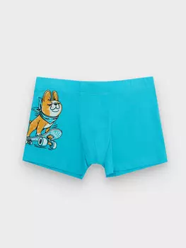 Трусы для мальчиков синие с принтом