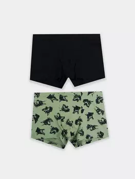 Трусы для мальчиков в наборе, 2 шт