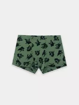 Трусы для мальчиков зеленые с принтом