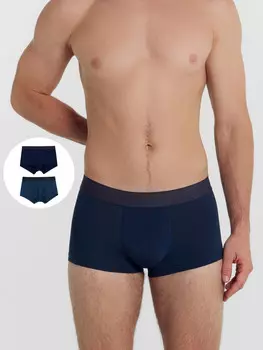 Трусы мужские (2шт)