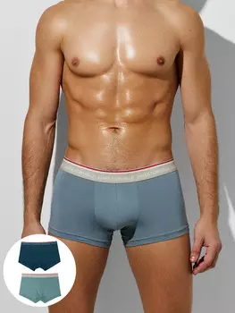 Трусы мужские (2шт)