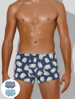 Трусы мужские (2шт)