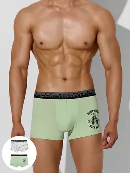 Трусы мужские (2шт)