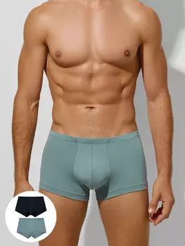 Трусы мужские (2шт)