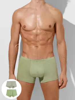 Трусы мужские (2шт)