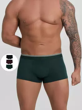 Трусы мужские (3шт)