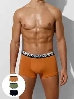 Трусы мужские (3шт)