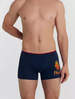 Трусы мужские боксеры серые с печатью