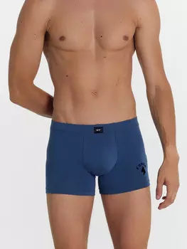 Трусы мужские боксеры серые с печатью