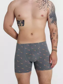 Трусы мужские боксеры серые с принтом
