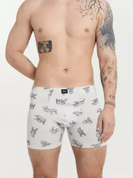 Трусы мужские боксеры серые с принтом