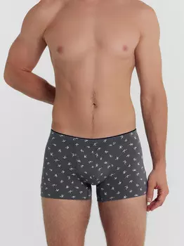 Трусы мужские боксеры серые с принтом