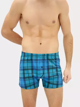 Трусы мужские боксеры серые в сине-зеленую клетку