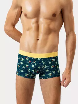 Трусы мужские боксеры синие с принтом жаб
