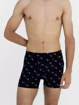 Трусы мужские боксеры в черном цвете с принтом