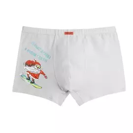 Трусы мужские "мужское белье"