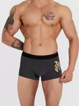 Трусы мужские серые с принтом