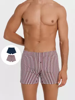 Трусы мужские шорты мультипак (2 шт.)