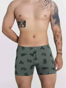 Трусы мужские шорты серые с принтом