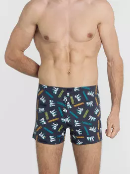 Трусы мужские шорты серые с принтом